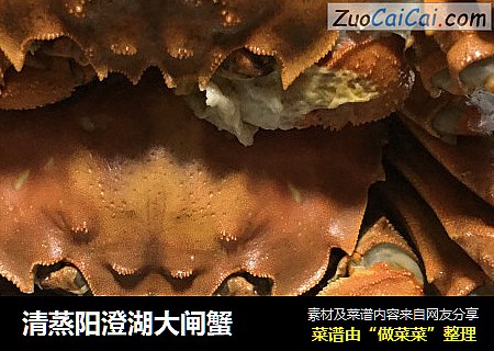 清蒸阳澄湖大闸蟹