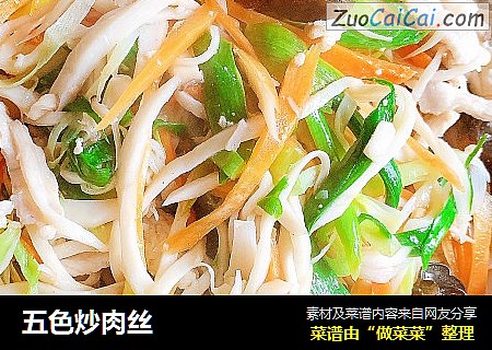 五色炒肉丝