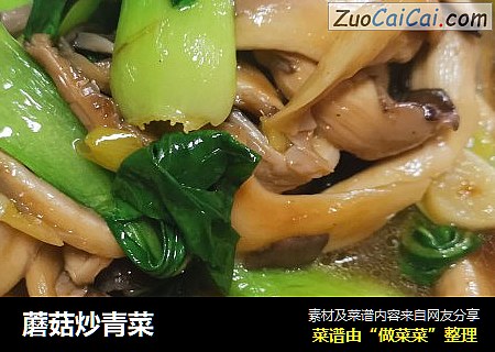 蘑菇炒青菜