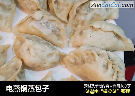 电蒸锅蒸包子