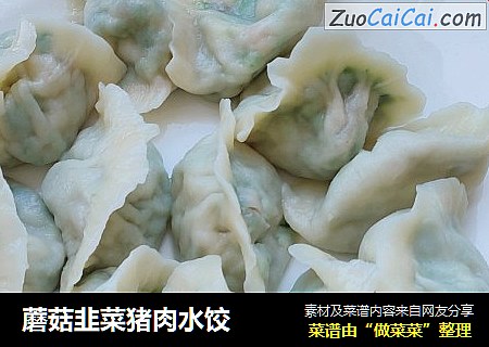 蘑菇韭菜猪肉水饺