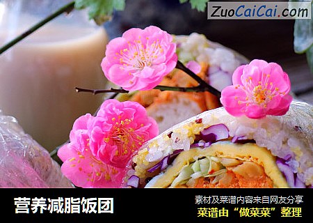 营养减脂饭团