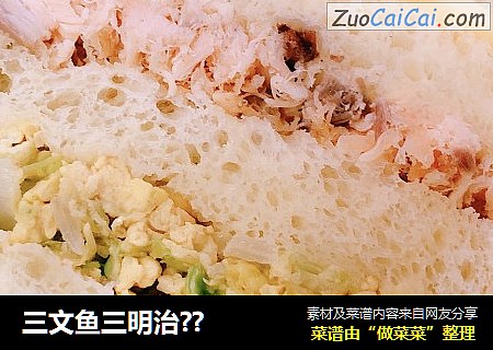 三文鱼三明治??