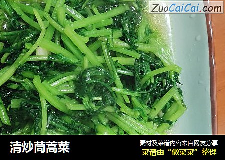 清炒茼蒿菜