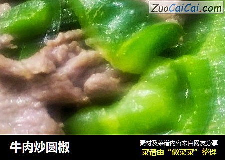 牛肉炒圆椒