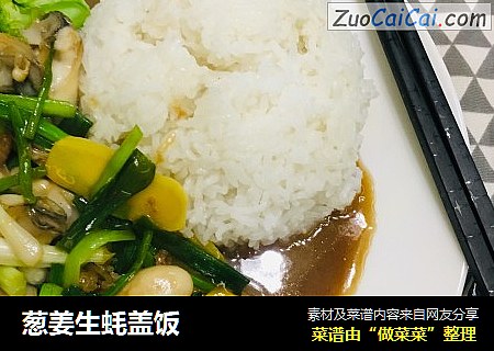 葱姜生蚝盖饭