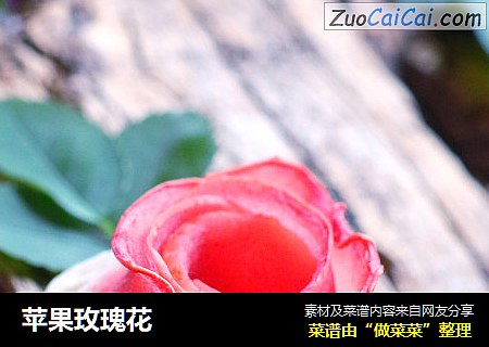 苹果玫瑰花