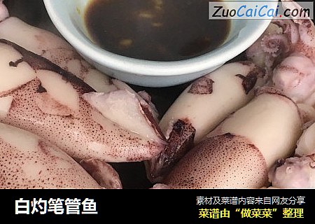 白灼笔管鱼