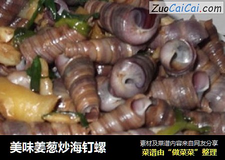 美味姜葱炒海钉螺