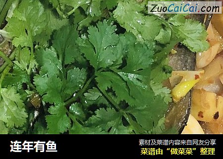 连年有鱼
