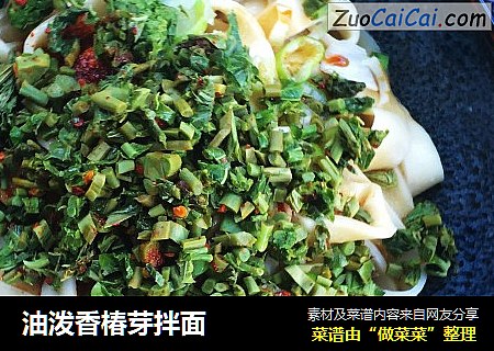 油泼香椿芽拌面