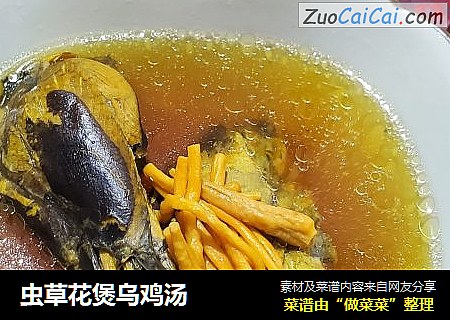 虫草花煲乌鸡汤