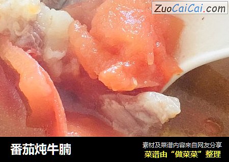 番茄炖牛腩