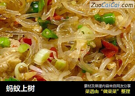 蚂蚁上树