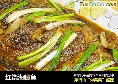 红烧海鲫鱼