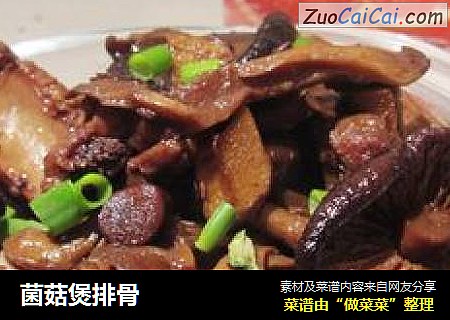 菌菇煲排骨