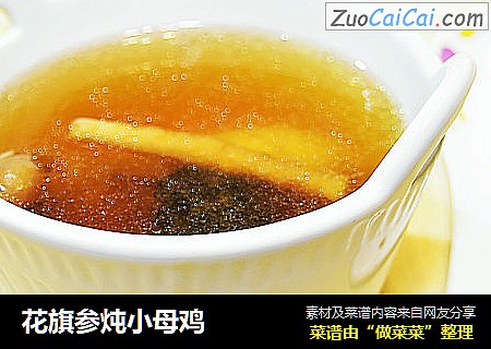 花旗参炖小母鸡