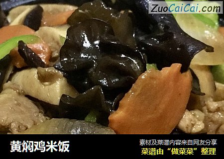 黄焖鸡米饭