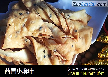 茴香小麻叶