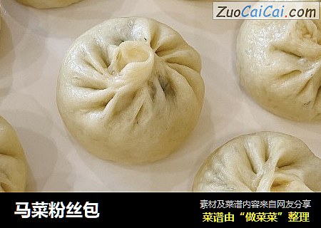 马菜粉丝包
