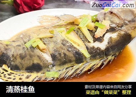 清蒸桂鱼