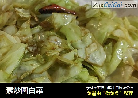 素炒圆白菜