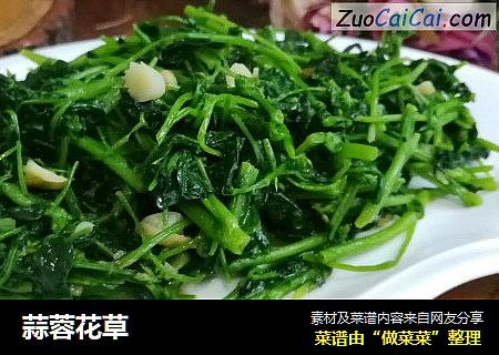 蒜蓉花草