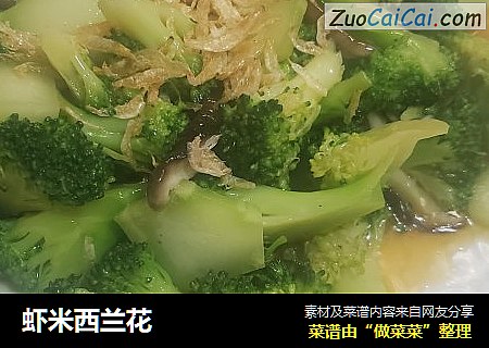 虾米西兰花