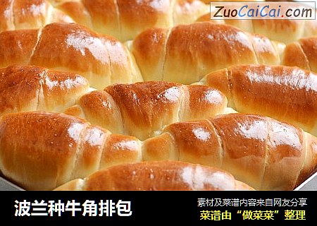 波兰种牛角排包