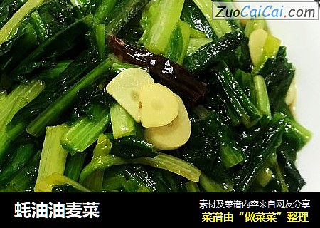 蚝油油麦菜