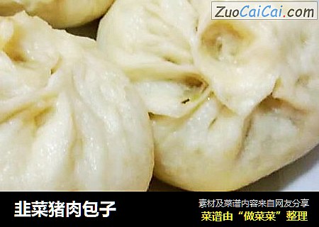 韭菜猪肉包子