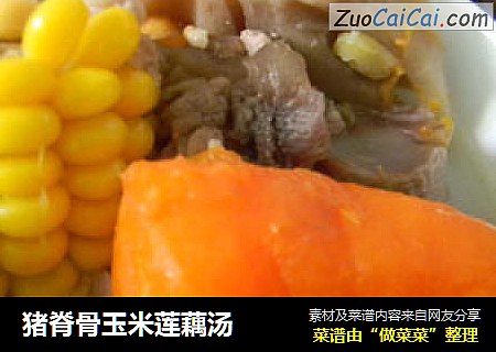 猪脊骨玉米莲藕汤