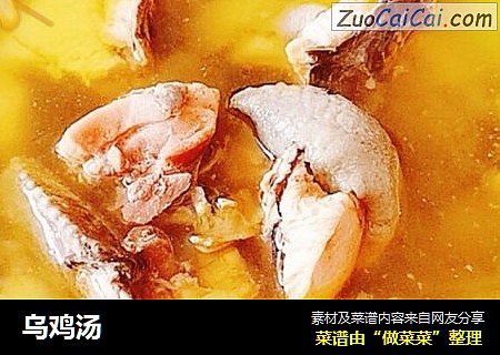 乌鸡汤