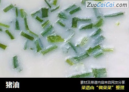 猪油