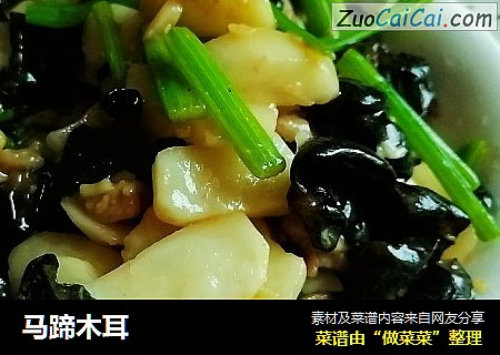 马蹄木耳