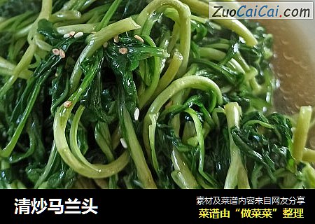 清炒马兰头