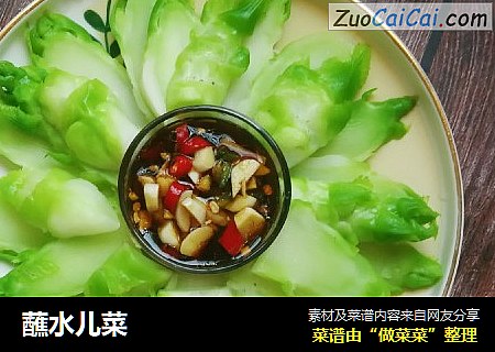 蘸水儿菜
