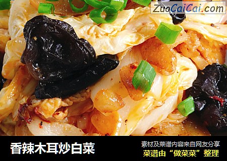 香辣木耳炒白菜