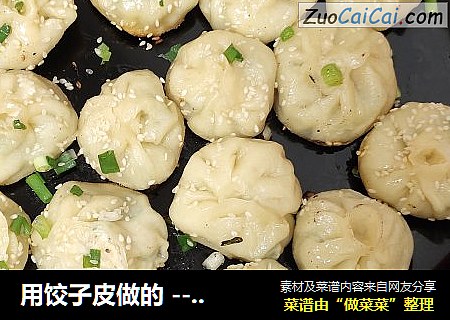 用饺子皮做的 --韭菜肉末煎包子