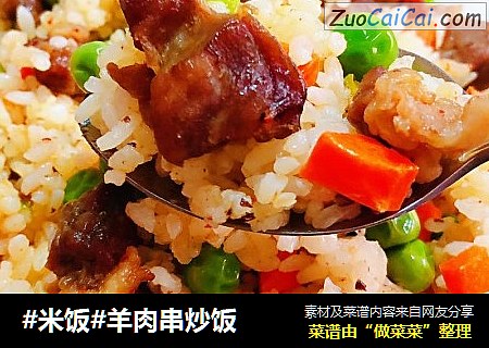 #米饭#羊肉串炒饭