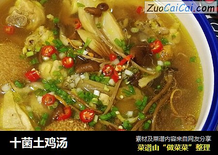 十菌土鸡汤