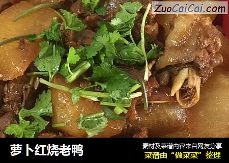 萝卜红烧老鸭