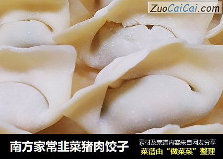 南方家常韭菜猪肉饺子