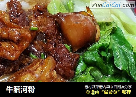 牛腩河粉