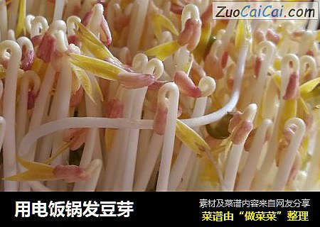 用电饭锅发豆芽