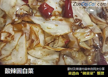 酸辣圆白菜