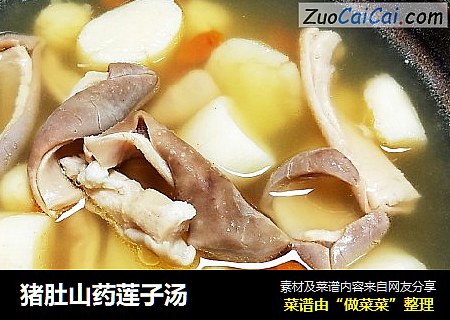 猪肚山药莲子汤
