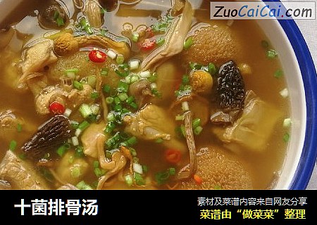 十菌排骨汤