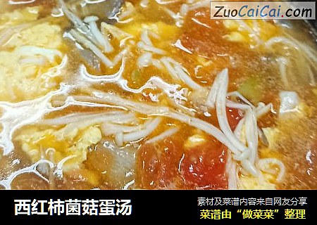 西红柿菌菇蛋汤