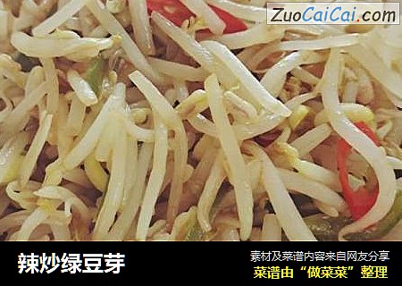 辣炒绿豆芽